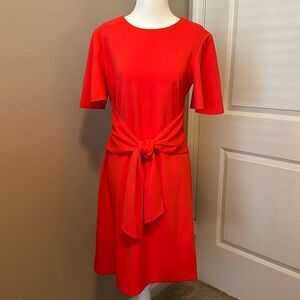 Donn Morgan Dress, Front Tie, Flutter Sleeves, 6
